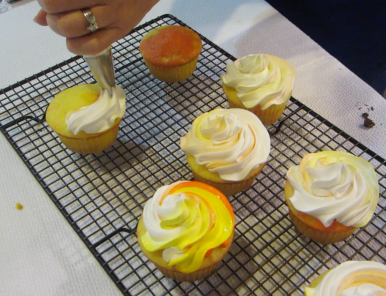 screen-shot-2017-01-07-at-9-10-54-pm